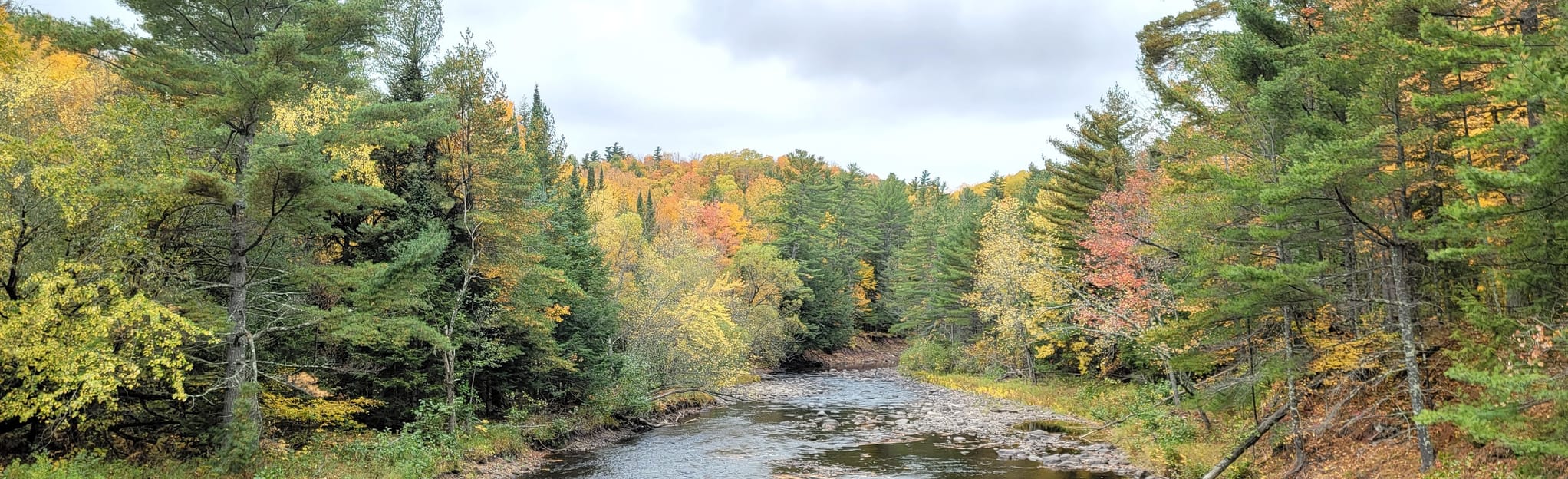 Red Granite Falls Trail 331 Reviews, Map Wisconsin AllTrails