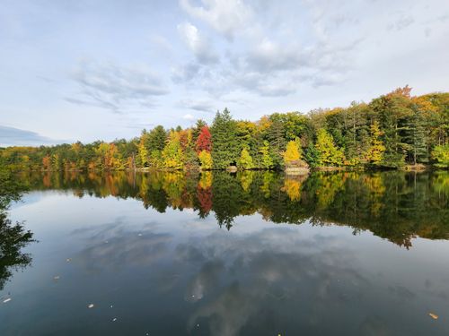 Best Hikes and Trails in Chestnut Ridge Park | AllTrails