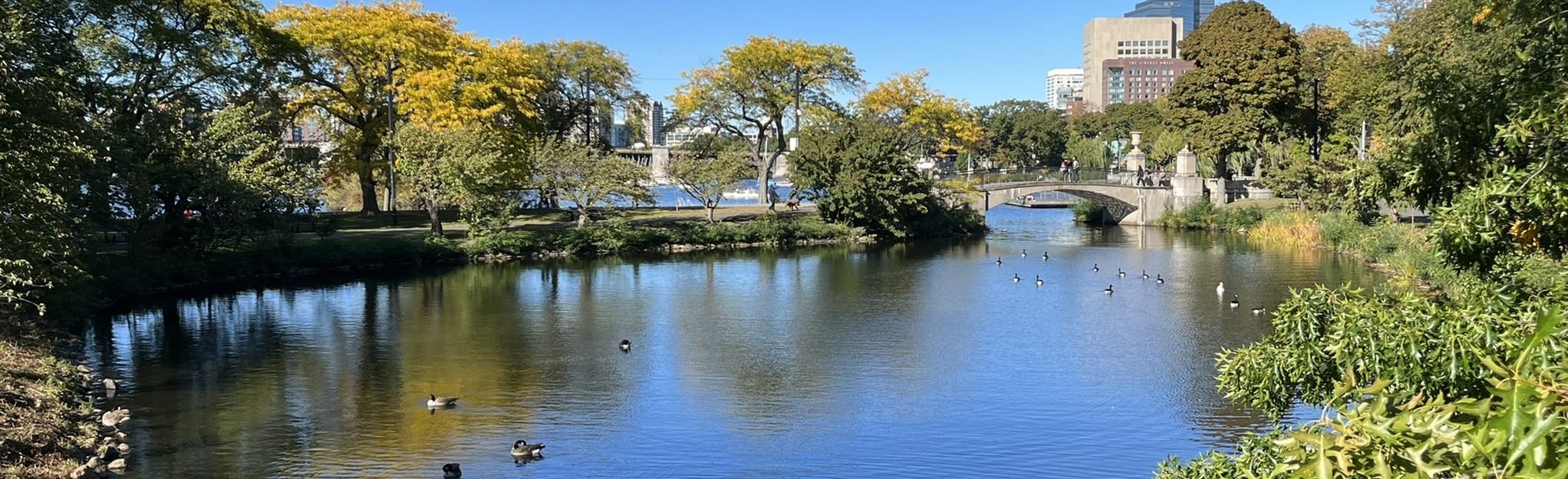 Boston City View Bike Route, Massachusetts 38 Reviews, Map AllTrails