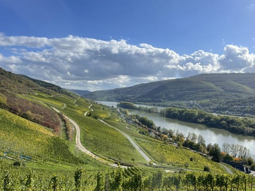 Rheinsteig Etappe 17: Lorch - Rüdesheim