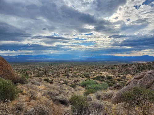 10 Best Trails and Hikes in Scottsdale | AllTrails