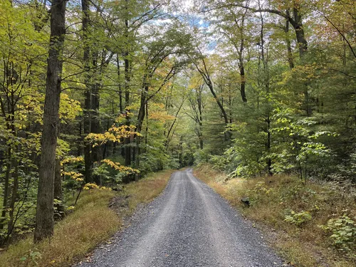 10 Best Trail Running Trails in Bald Eagle State Forest | AllTrails