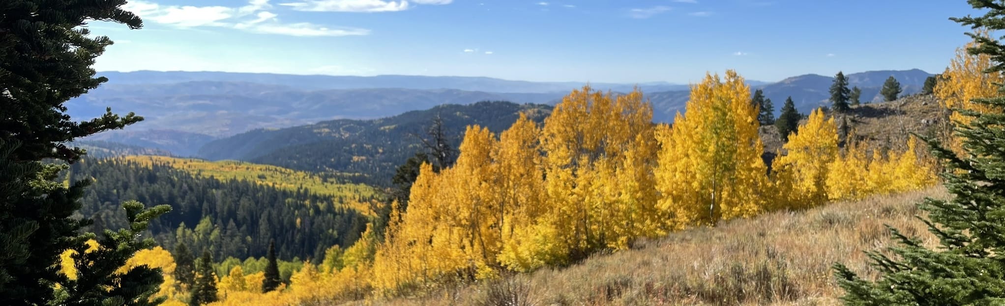 Tony Grove to Smithfield Canyon 22 Reviews, Map Utah AllTrails