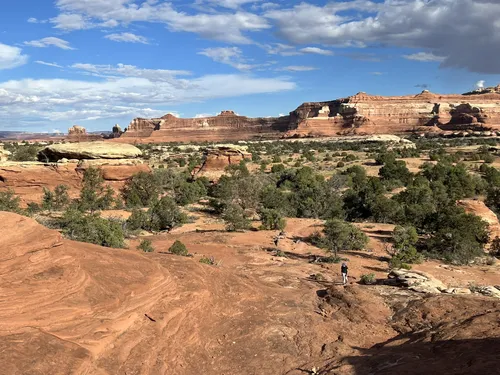 Canyonlands national hotsell park backpacking