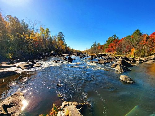 Best Hikes and Trails in Merrill School Forest | AllTrails