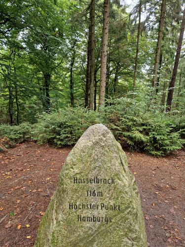 Auf den Hasselbrack