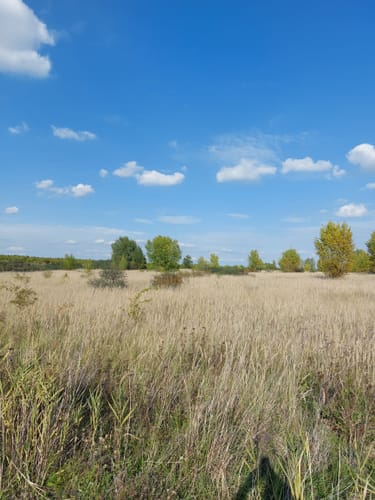 NSG Werbeliner See