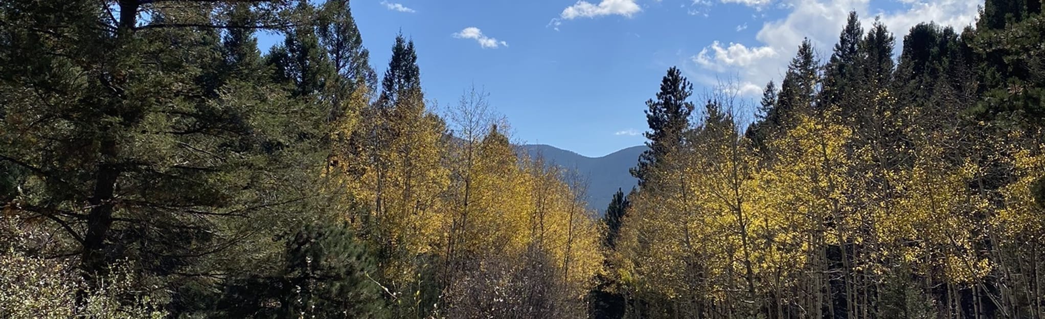 Buffalo Creek West Side Loop, Colorado 59 Reviews, Map AllTrails