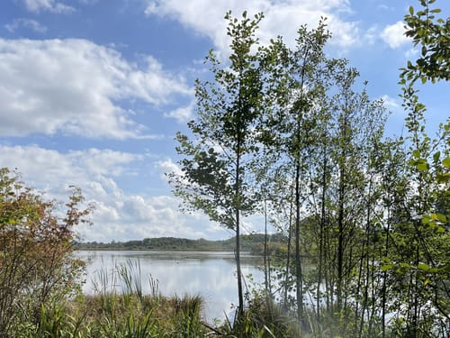 Ludwigshöhe ab Kirchseeon
