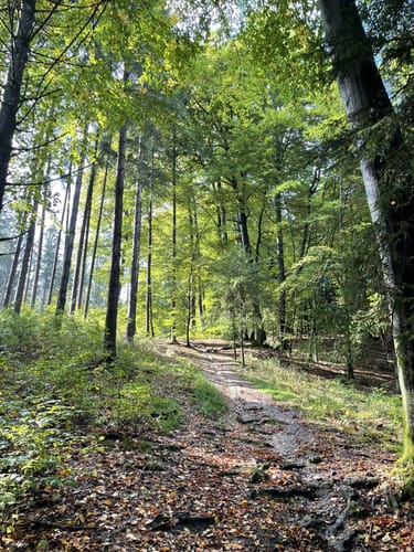 Ludwigshöhe ab Kirchseeon