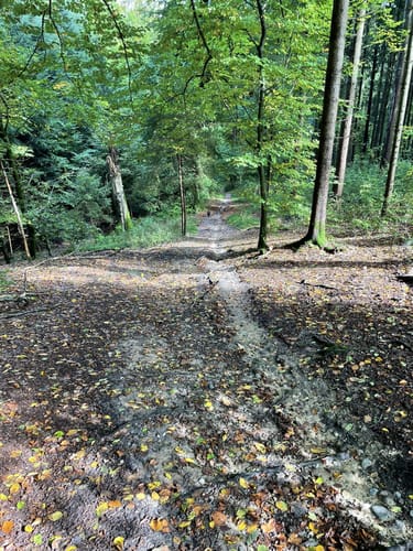 Ludwigshöhe ab Kirchseeon