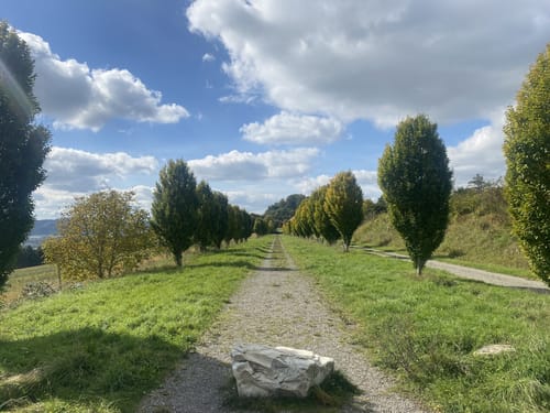 Zur Nellenburg und Ausblick Seeschau