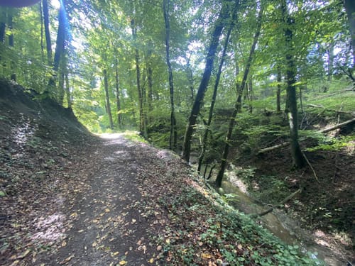 Zur Nellenburg und Ausblick Seeschau