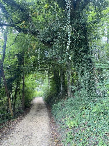 Zur Nellenburg und Ausblick Seeschau