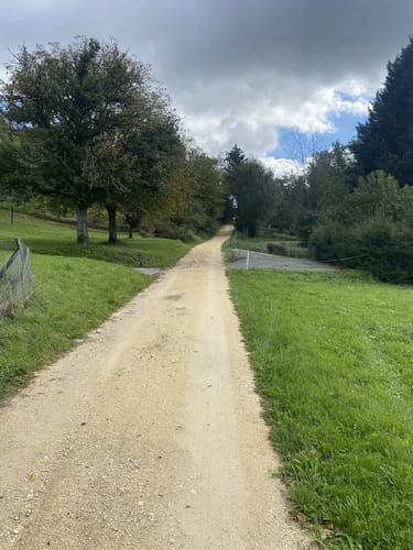 Zur Nellenburg und Ausblick Seeschau