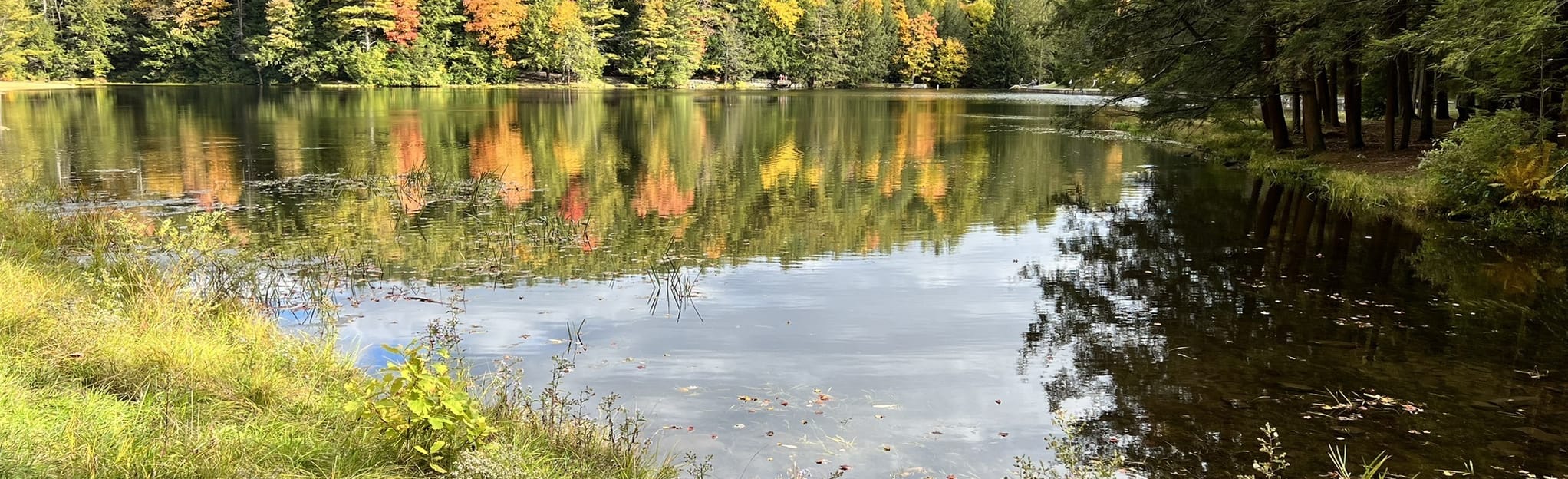 Boiling Spring and Overlook Trail Loop, Pennsylvania - 146 Reviews, Map ...