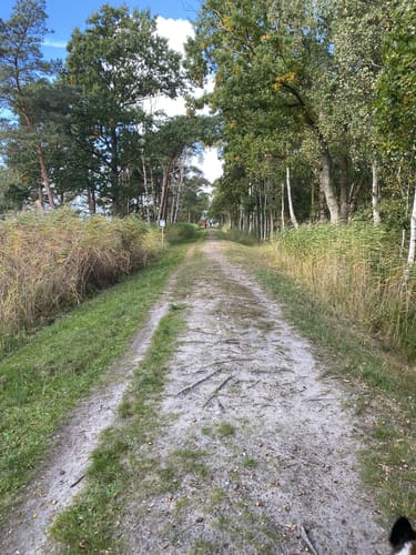Glowe - Forsthaus Gelm