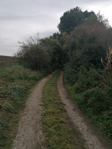 Fraunberg - Riding - Auerbach