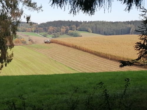 Fraunberg - Riding - Auerbach