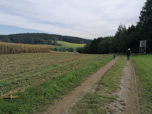 Fraunberg - Riding - Auerbach