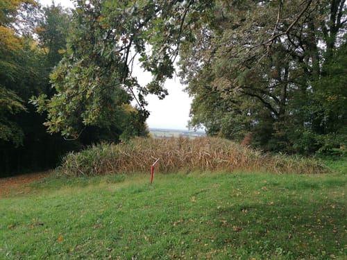 Fraunberg - Riding - Auerbach