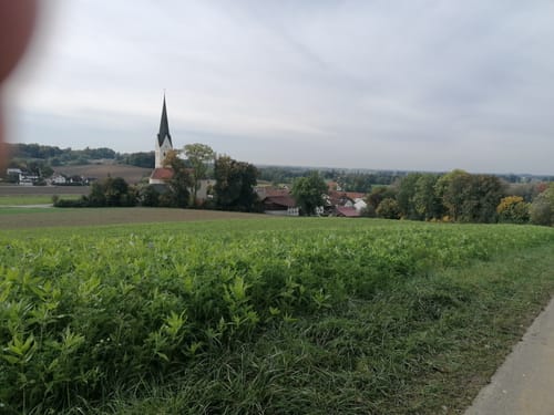 Fraunberg - Riding - Auerbach