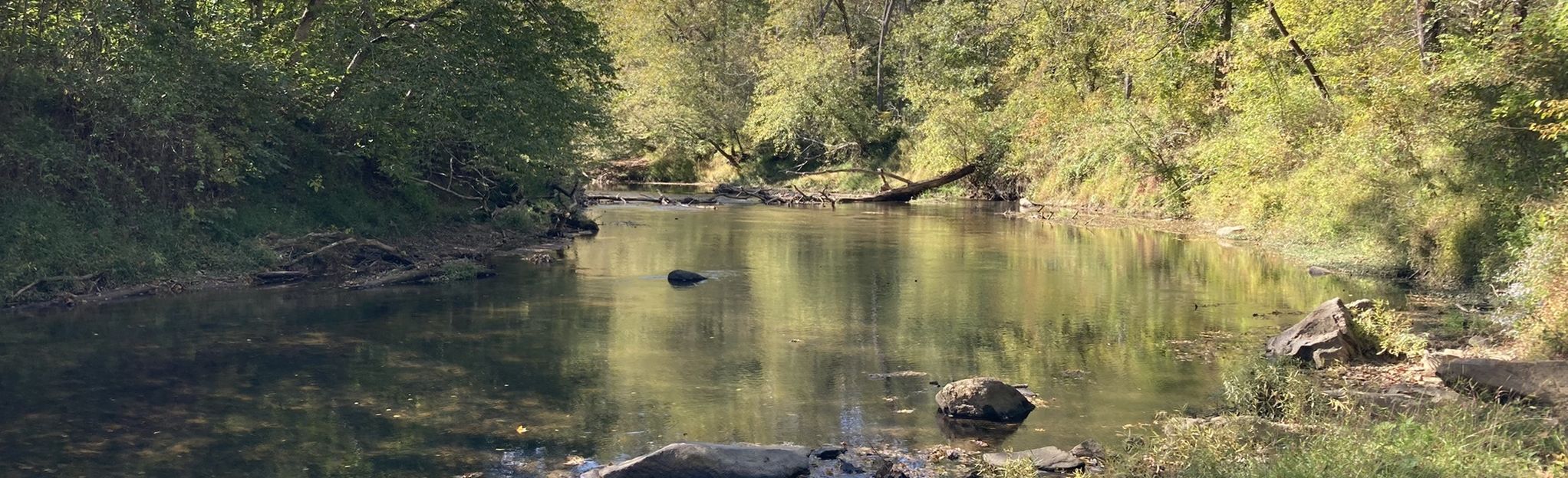 Riparian Ramble And Beech Tulip Poplar Forest Loop, Virginia - 99 