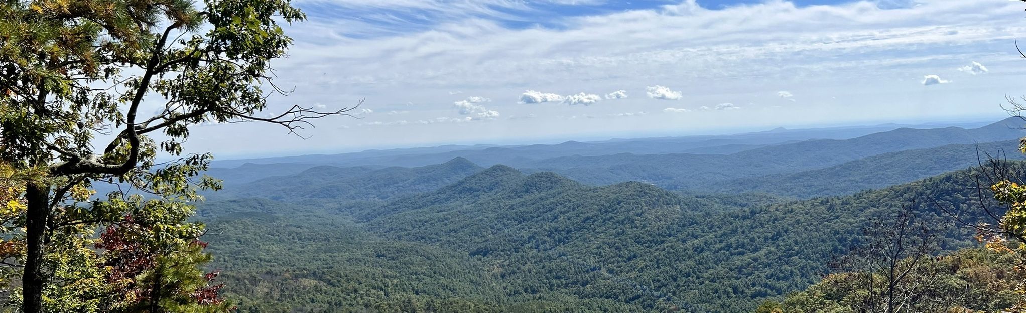 Rabun Bald via Darnell Creek, Georgia - 59 Reviews, Map | AllTrails