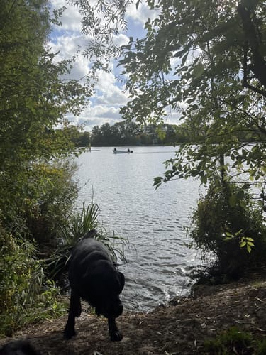 An der Elbe entlang von Rothenburgsort nach Allermöhle