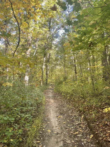 Franklin State Forest Trail Map
