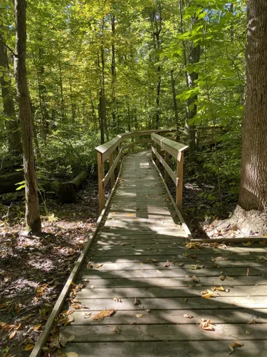 Escape to Serenity: Ohio's Hidden Gem, Carmean Woods State Nature Preserve