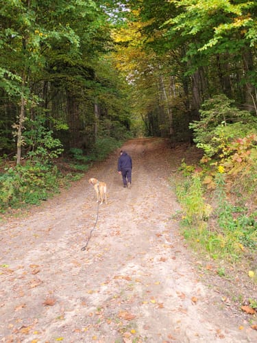 Schwarzer-Reiter-Rundwanderweg