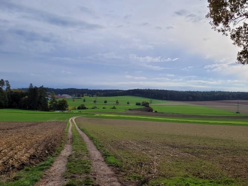 Schwarzer-Reiter-Rundwanderweg