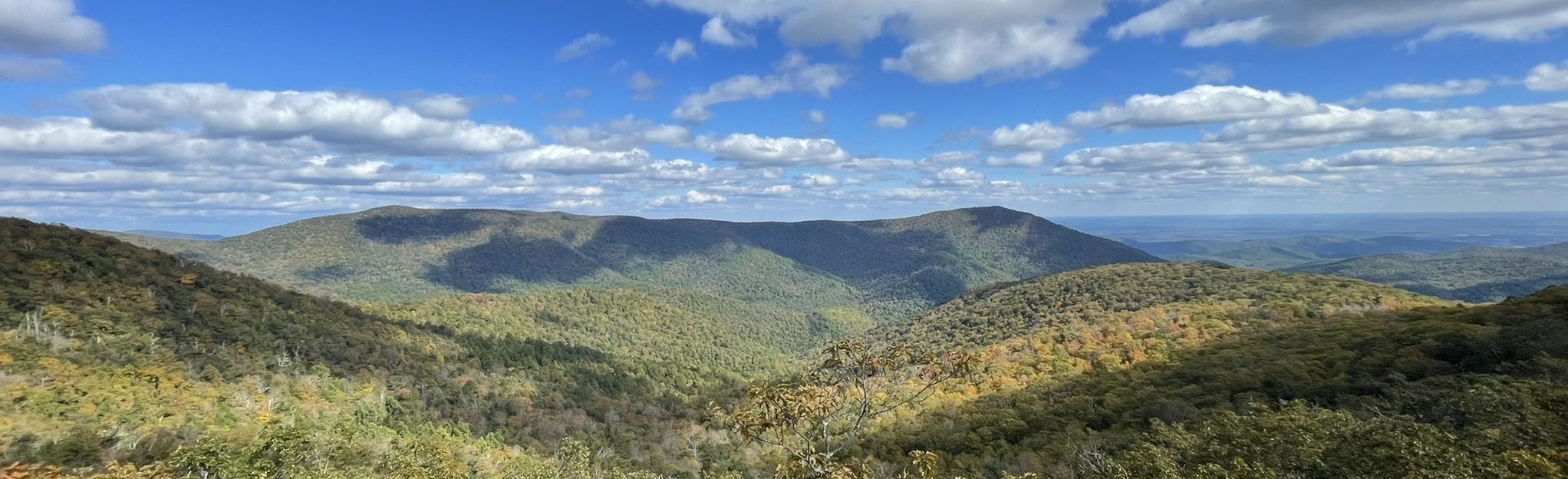 Bearfence Mountain Trail, Virginia - 3,718 Reviews, Map | AllTrails