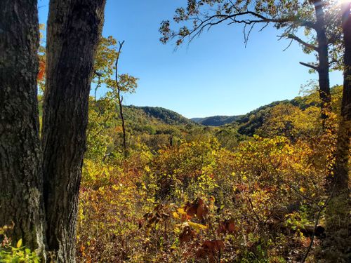 Best Hikes and Trails in Little Lost Creek Conservation Area | AllTrails