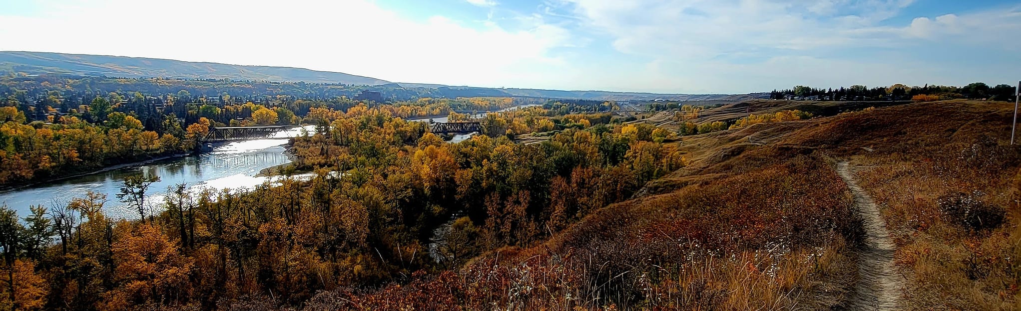 Bowmont Park Inner Loop: 47 Reviews, Map - Alberta, Canada | AllTrails