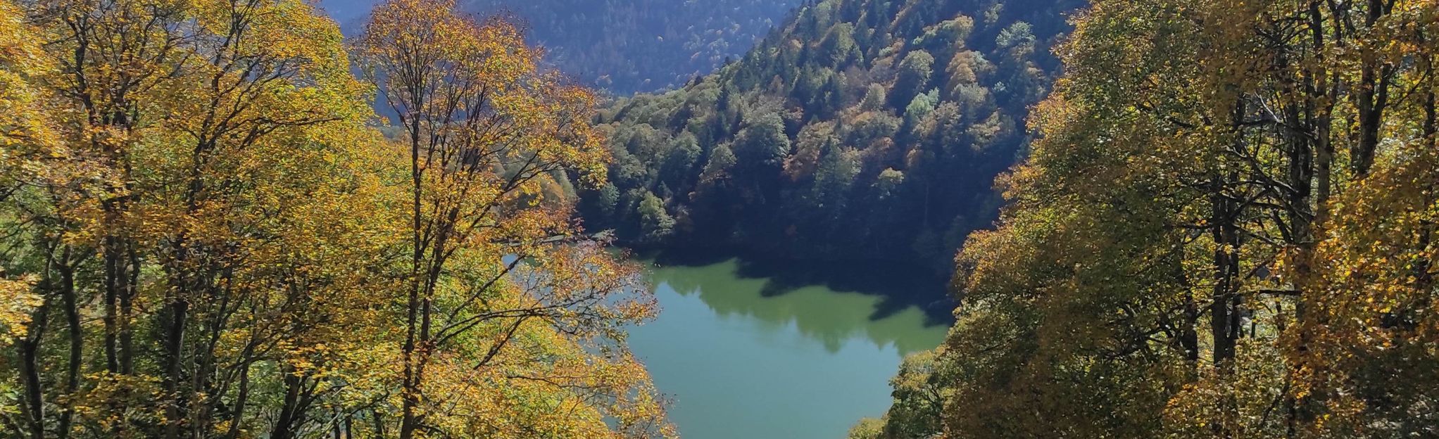 Rouge Gazon Gazon Vert And Haute Bers Map Guide Vosges France Alltrails