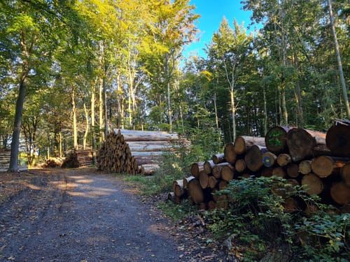 Zum Wildgehege am Ehrenberg und Umgebung