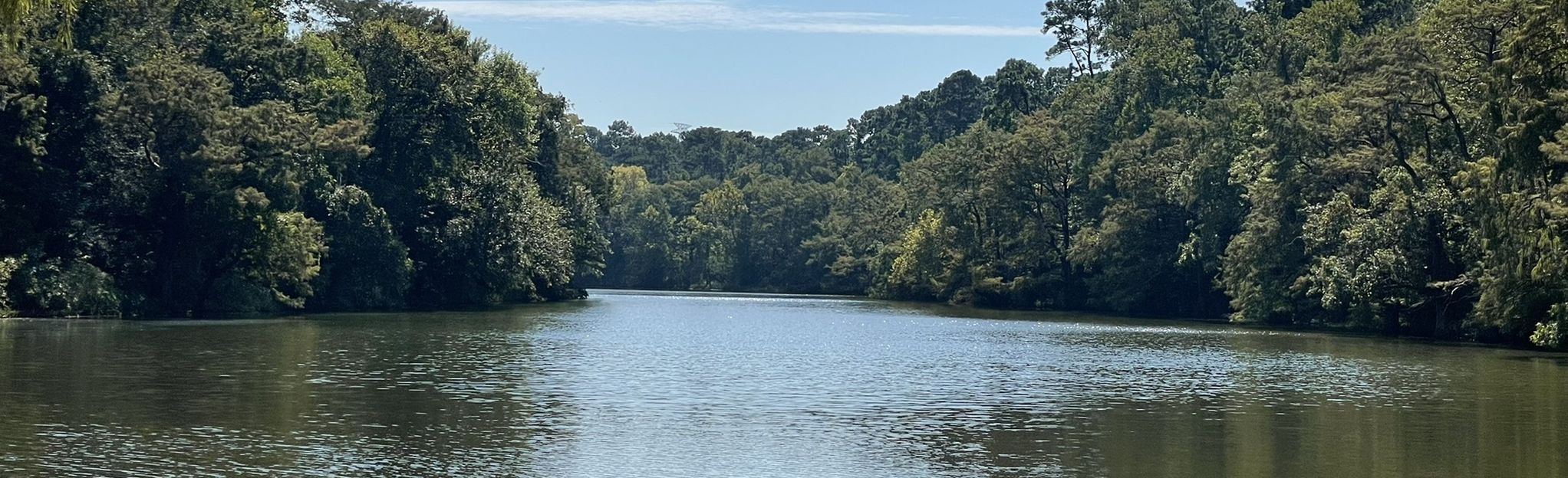 San Jacinto Trail Loop Texas - EyJidWNrZXQiOiJhc3NldHMuYWxsdHJhaWxzLmNvbSIsImtleSI6InVwbG9hZHMvcGhvdG8vaW1hZ2UvNTI5NzM3ODMvY2Q4YzlmNjFkN2RmZDA0MzNiZjc2YmE3NGYwYjM0ZjcuanBnIiwiZWRpdHMiOnsidG9Gb3JtYXQiOiJqcGVnIiwicmVzaXplIjp7IndpZHRoIjoyMDQ0LCJoZWlnaHQiOjYyNCwiZml0IjoiY292ZXIifSwicm90YXRlIjpudWxsLCJqcGVnIjp7InRyZWxsaXNRdWFudGlzYXRpb24iOnRydWUsIm92ZXJzaG9vdERlcmluZ2luZyI6dHJ1ZSwib3B0aW1pc2VTY2FucyI6dHJ1ZSwicXVhbnRpc2F0aW9uVGFibGUiOjN9fX0=