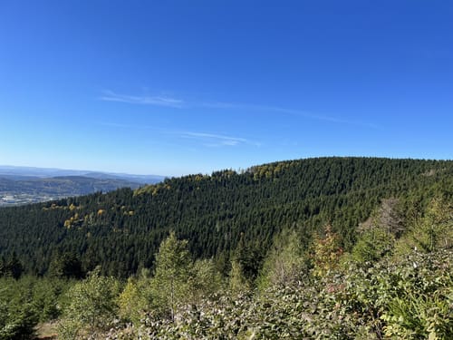 Gipfelwanderweg ab Goldlauter