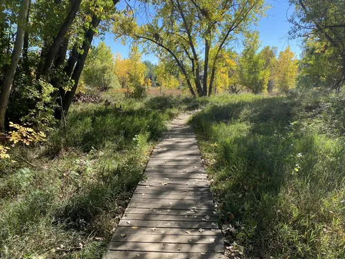 Best Hikes and Trails in Red Fox Meadows Natural Area | AllTrails