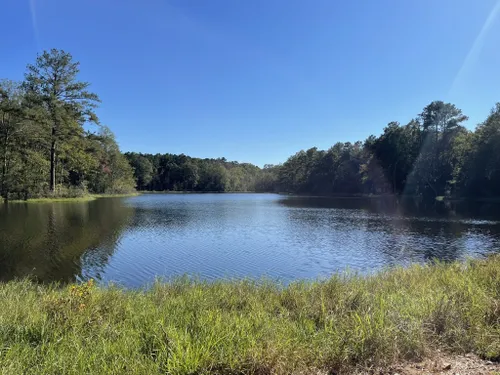 Best Walking Trails in Hattiesburg | AllTrails