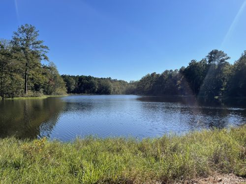 Best Hikes and Trails in Hattiesburg | AllTrails