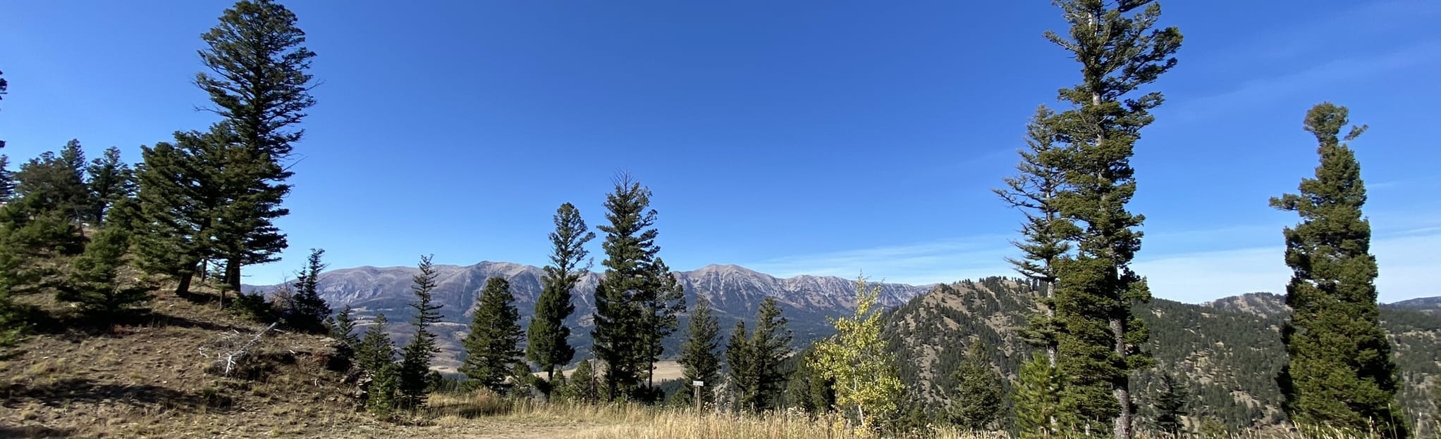 Bangtail Divide Trail Montana 99 Reviews Map AllTrails