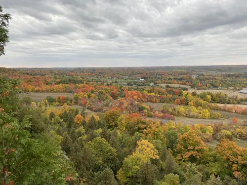 Best Hikes and Trails in Mount Nemo Conservation Area | AllTrails