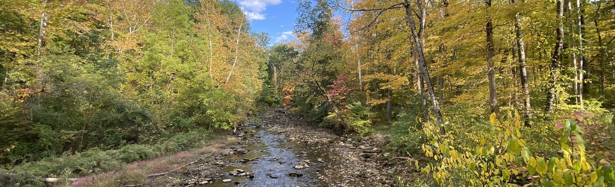 Brandywine Trail 3,211 Reviews, 6,747 Photos, Map Ohio AllTrails