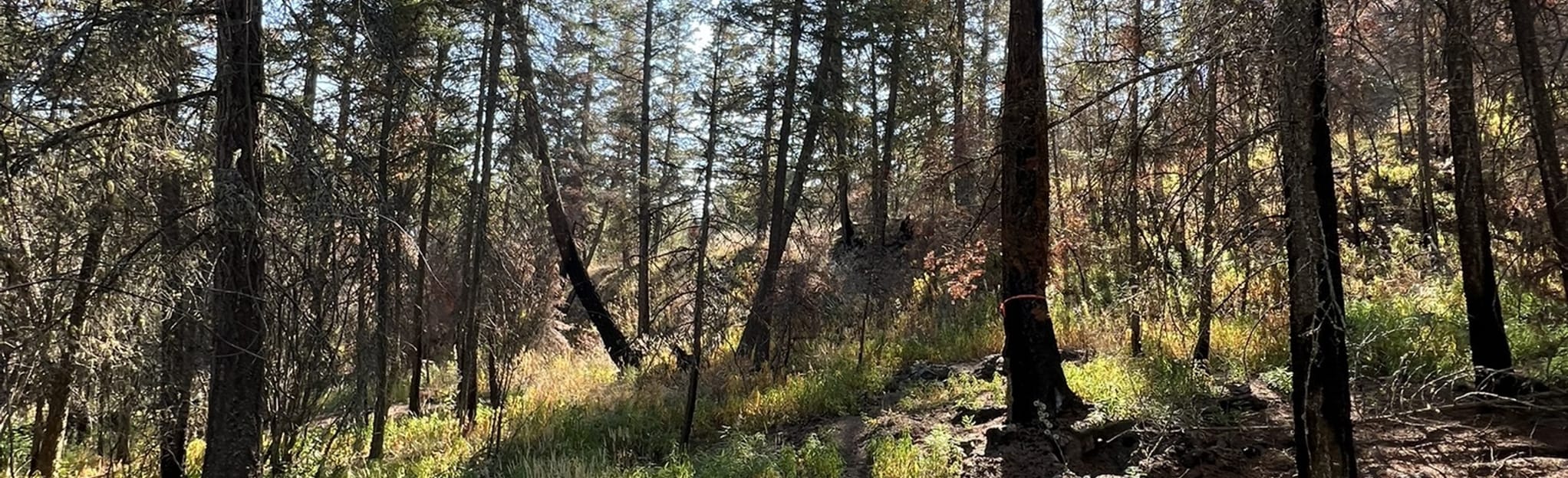 Savona Caves, British Columbia, Canada 66 Reviews, Map AllTrails