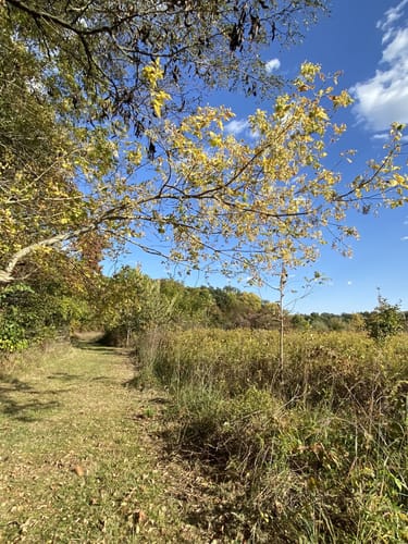 2023 Best 10 Trails and Hikes in Springfield | AllTrails