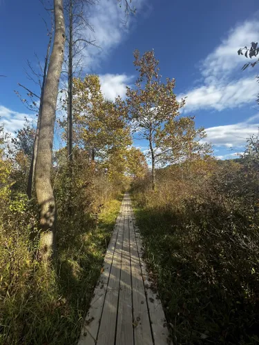 10 Best Hard Trails in Ohio | AllTrails