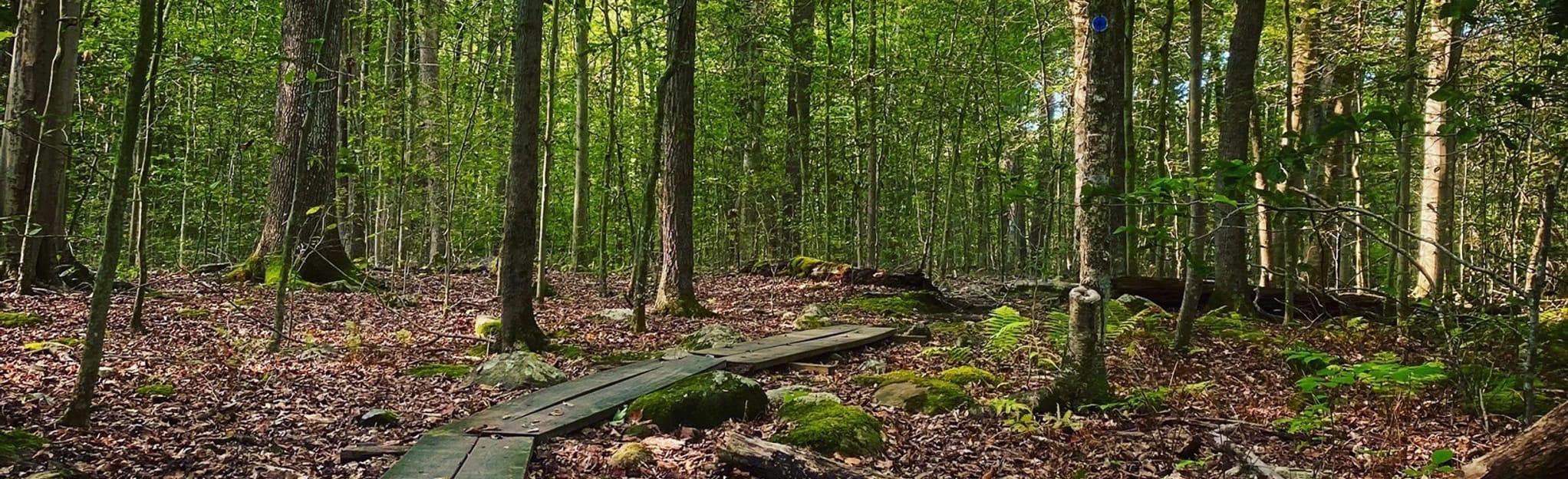 Parkway and Legacy Trail Loop, New York 19 Reviews, Map AllTrails